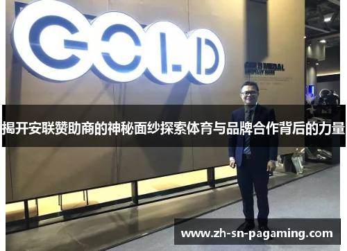 揭开安联赞助商的神秘面纱探索体育与品牌合作背后的力量